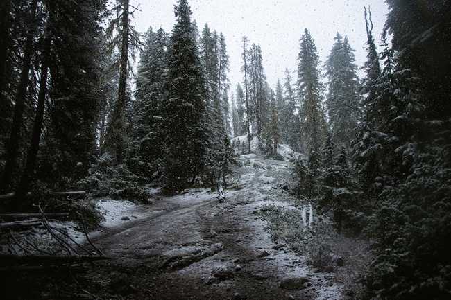 snowy trail