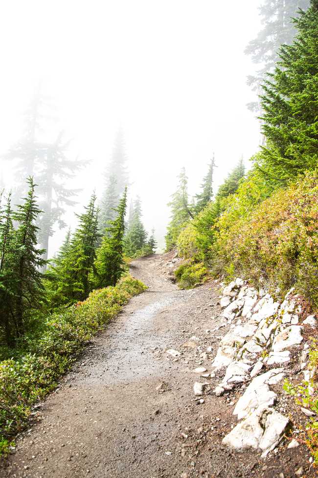 The Chain Lakes loop trail dissapearing into the fog.