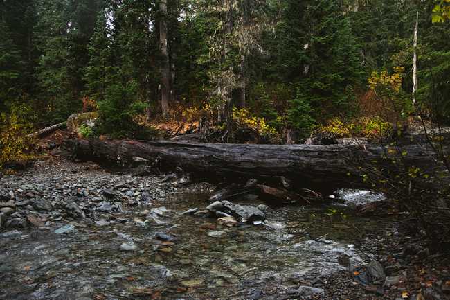 log crossing