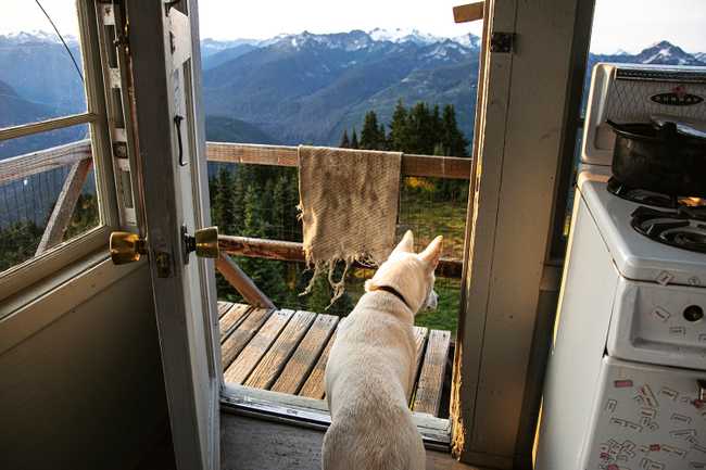 ember looking outside