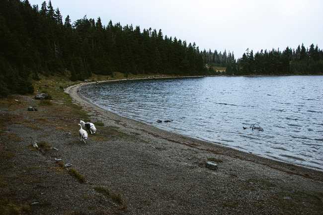 04 summit lake beach