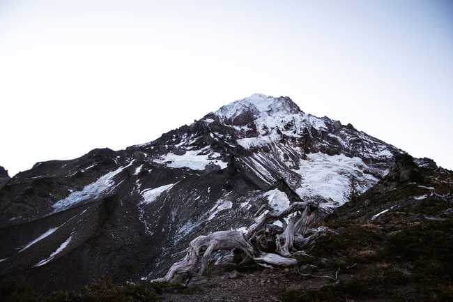 18 mt hood closeup