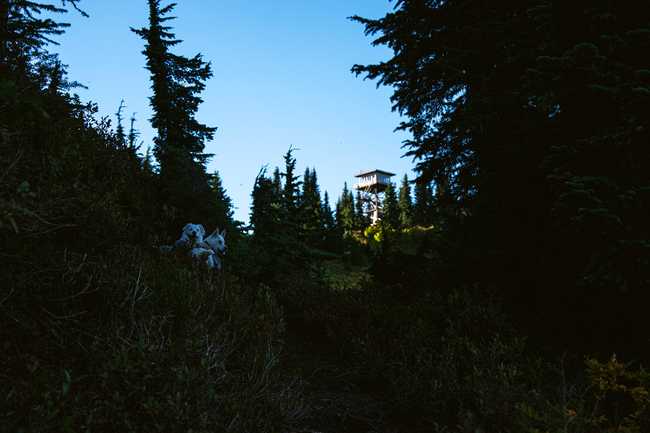 lookout mountain