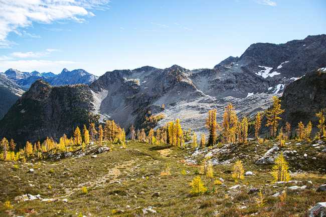 larches mountains