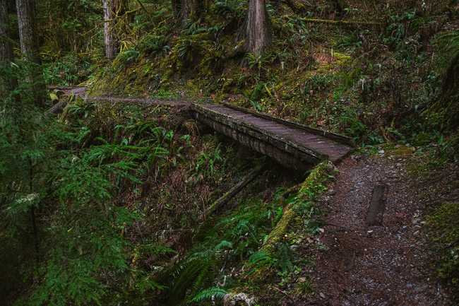 02 trail bridge