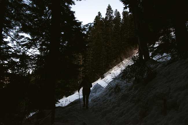 upper woods trail