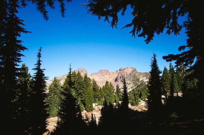 peaks from forest