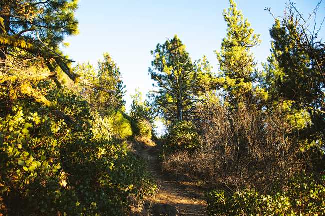 golden hour trail