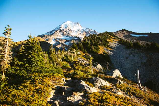 10 mt hood trail